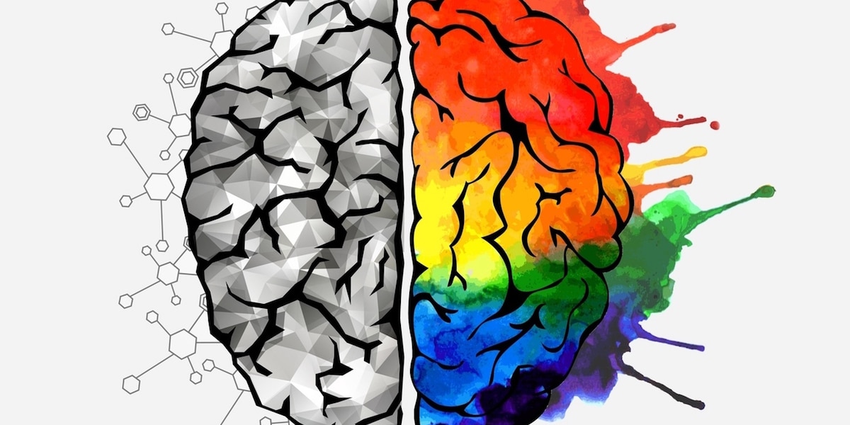 Concept of the human brain